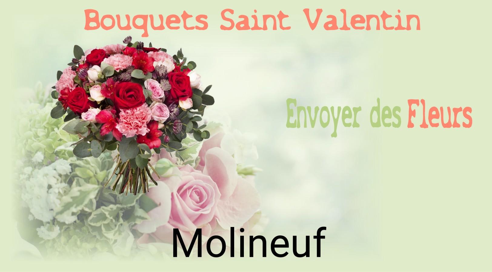 Roses de Saint-Valentin livrées à Molineuf